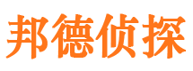 巨鹿市调查公司